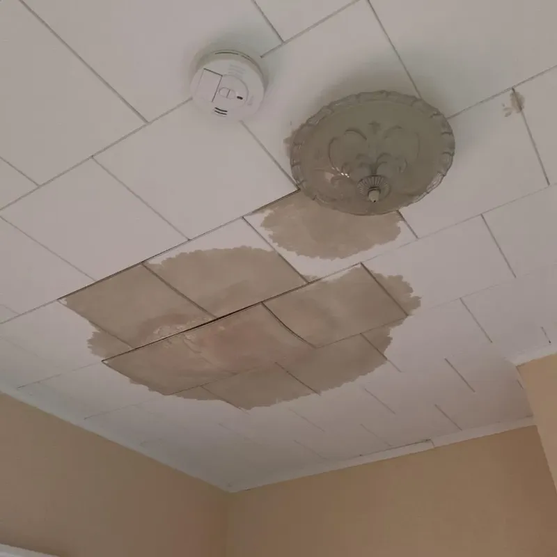 Ceiling Water Damage Repair in Shell Valley, ND