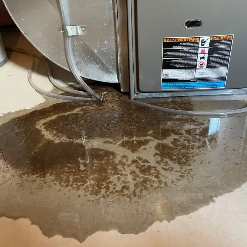 Pipe Burst and Leak Restoration in Shell Valley, ND