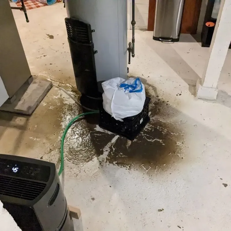 Sewage Backup Cleanup Service in Shell Valley, ND